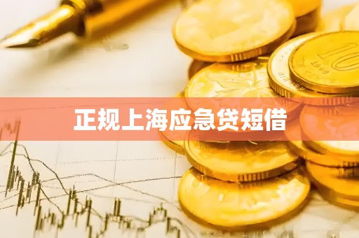 正规上海应急贷短借