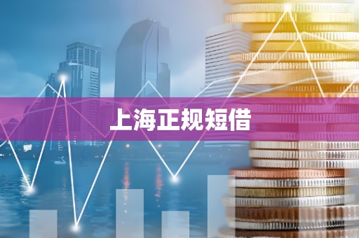 上海正规短借