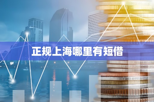 正规上海哪里有短借