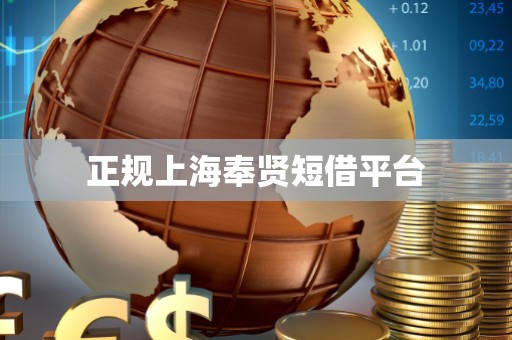 正规上海奉贤短借平台