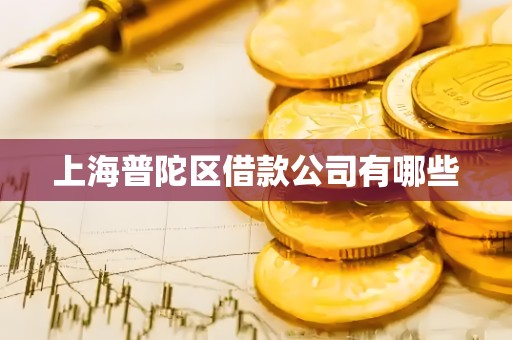 上海普陀区借款公司有哪些