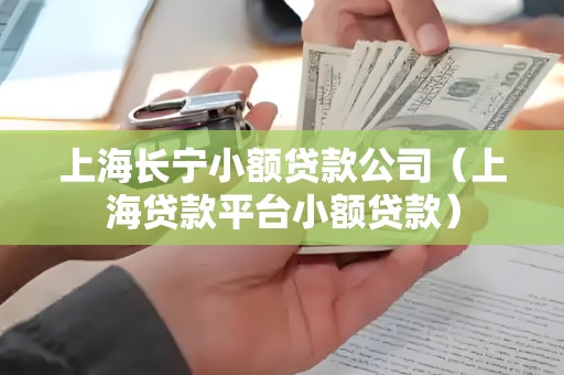 上海长宁小额贷款公司（上海贷款平台小额贷款）