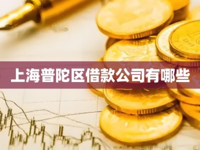 上海普陀区借款公司有哪些