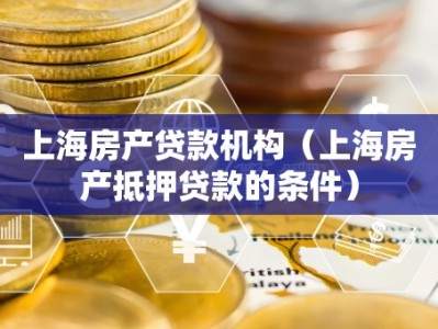 上海房产贷款机构（上海房产抵押贷款的条件）