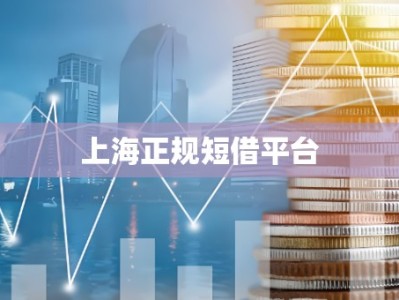 上海正规短借平台