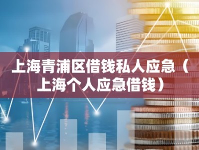 上海青浦区借钱私人应急（上海个人应急借钱）