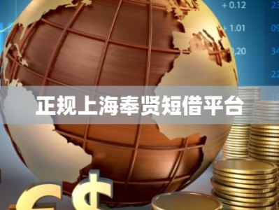 正规上海奉贤短借平台