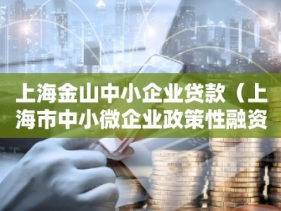 上海金山中小企业贷款（上海市中小微企业政策性融资担保基金管理中心）