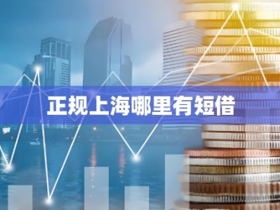 正规上海哪里有短借