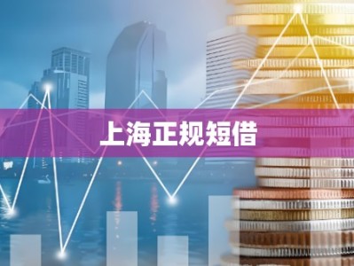 上海正规短借