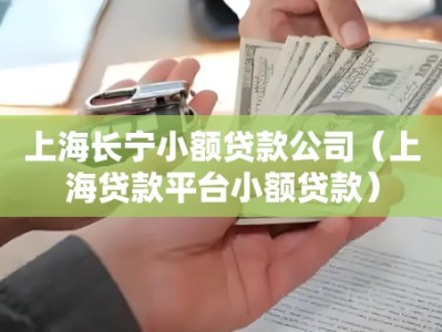 上海长宁小额贷款公司（上海贷款平台小额贷款）